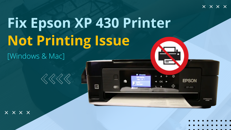 Epson xp 430 not printing