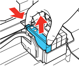 epson xp not printing