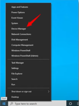 Device Manager section